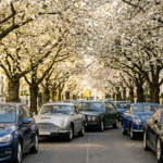 Nisan ayında aracınızı ağaç gölgelerinde park etmekten kaçının