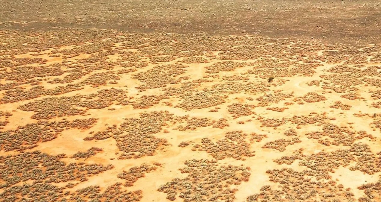 Nullarbor Ovası'ndaki hortum izinin kaynağı belirlendi