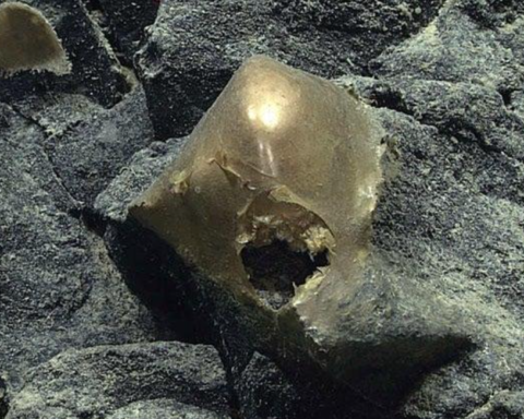 Okyanus Derinliklerinde Bulunan Altın Küre'nin Sırrı Çözüldü