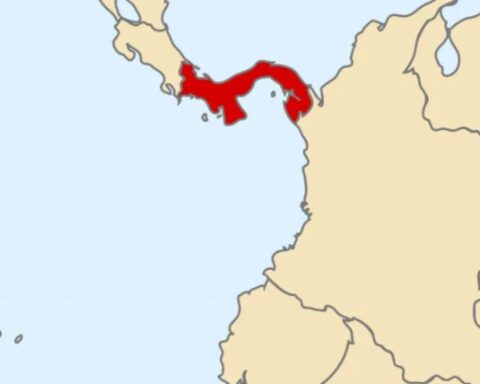 Okyanusta Besin Zinciri Krizinde İlk Kez Yukarı Akıntı Durduruldu