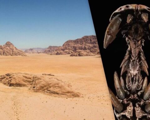 Sahara Çölü'nde Yeni Dinozor Türü Spinosaurus Mirabilis Keşfedildi