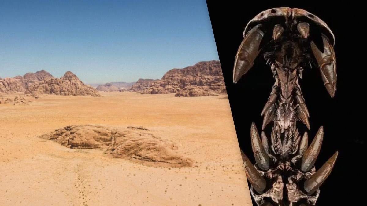 Sahara Çölü'nde Yeni Dinozor Türü Spinosaurus Mirabilis Keşfedildi