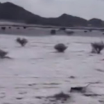 Suudi Arabistan'da ani dolu yağışı çöl alanlarını beyaz örtüyle kapladı