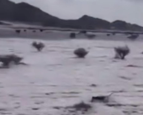 Suudi Arabistan'da ani dolu yağışı çöl alanlarını beyaz örtüyle kapladı