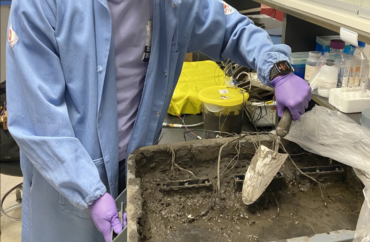 Toprakla Çalışan Pil Geliştirildi: Sürdürülebilir Enerji Çözümü Başlıyor