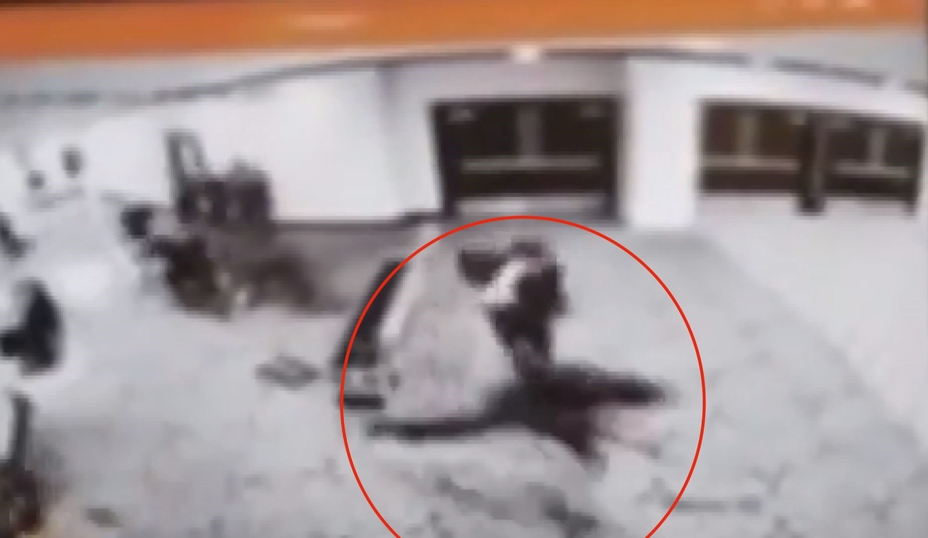 Trump'ın Katıldığı Etkinlikte Güvenlik Açığı ve Panik Ortaya Çıktı