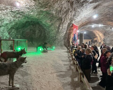 Turistik Tuz Ekspresi 2026 sezonuna başladı, Çankırı'da yoğun ilgi var