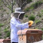 Türkiye, 2027'de Uluslararası Genç Arıcılar Buluşması'na ev sahipliği yapacak