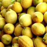 Türkiye, 3 Ayda 700 Milyon Dolar İhracat Geliri Elde Etti