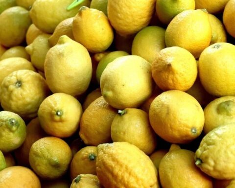 Türkiye, 3 Ayda 700 Milyon Dolar İhracat Geliri Elde Etti