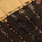 Uzmanların 'dikmeyin' uyarısını dikkate almayan bahçıvanın sürpriz deneyimi