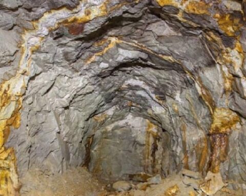 Vicuña Projesi’nde 424 Milyar Dolar Değerinde Hazine Keşfedildi