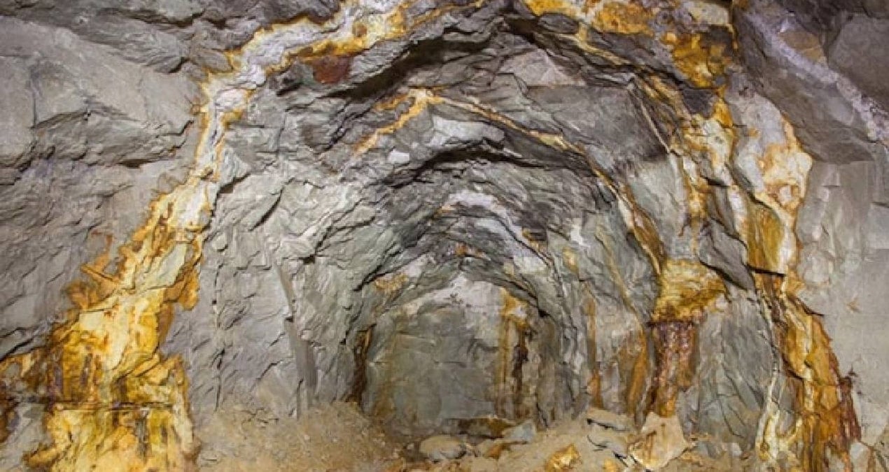 Vicuña Projesi’nde 424 Milyar Dolar Değerinde Hazine Keşfedildi