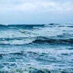 Yeni Bir Nematod Türü, Aşırı Tuzlu Gölün Ekosisteminde Hayata Tutunuyor