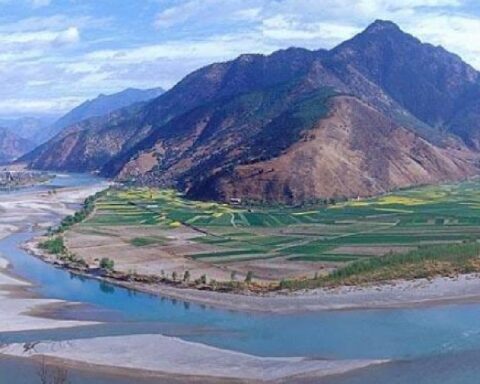 Yeni Fosil Keşfi, Evrim Tarihindeki Sıfır Noktasını Yakın Zamana Taşıyor