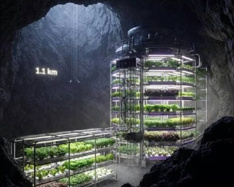 Yer Altında Tarım: Eski Madenler Sürdürülebilir Gıda Üretim Merkezine Dönüşüyor
