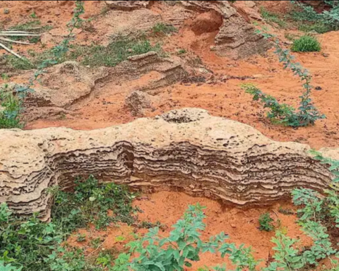 Yoğun Yağışlar, Tarih Öncesi Kalıntıları Gün Yüzüne Çıkarıyor