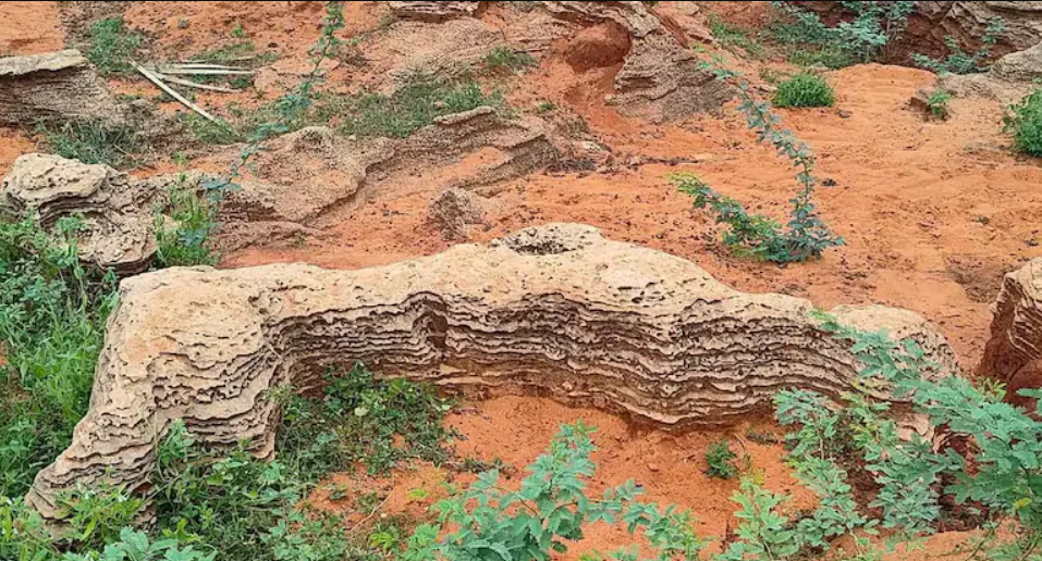 Yoğun Yağışlar, Tarih Öncesi Kalıntıları Gün Yüzüne Çıkarıyor