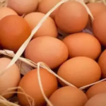 Yumurta, Tavuk Eti ve İnek Sütü Üretimi Şubat Ayında Düştü