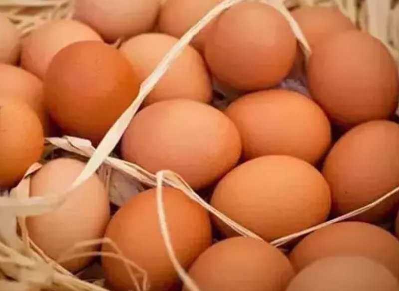 Yumurta, Tavuk Eti ve İnek Sütü Üretimi Şubat Ayında Düştü