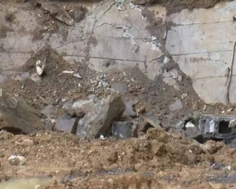 240 milyon yıllık fosil keşfi, avustralya'nın paleontolojik mirasında önemli buluş