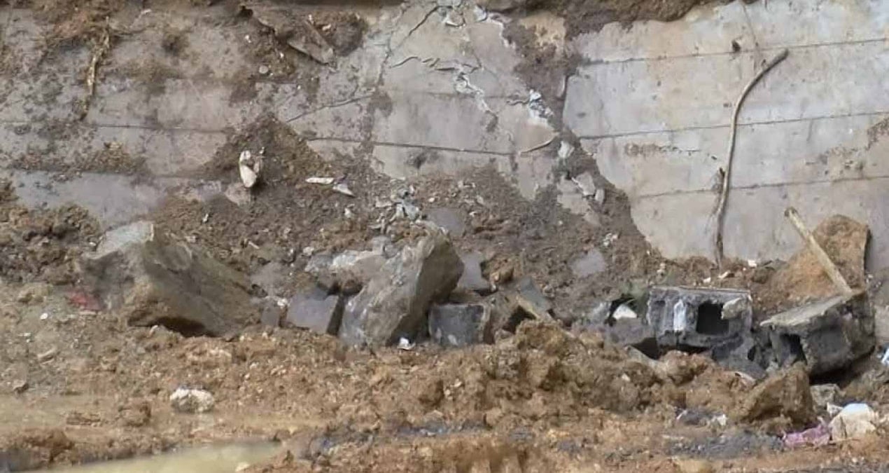 240 milyon yıllık fosil keşfi, avustralya'nın paleontolojik mirasında önemli buluş