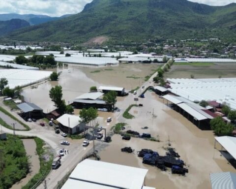 Amasya'da Yeşilırmak Taştı: Yüzlerce Hektar Tarım Arazisi Su Altında Kaldı