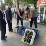 Antalya'da Üretici, Maliyeti Karşılamayan Patlıcanları Ücretsiz Dağıtarak Dayanışma Örneği Sergiledi