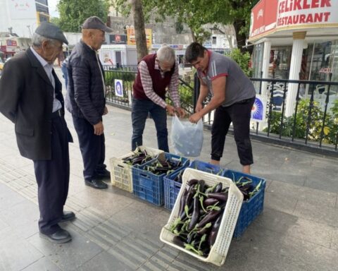 Antalya'da Üretici, Maliyeti Karşılamayan Patlıcanları Ücretsiz Dağıtarak Dayanışma Örneği Sergiledi