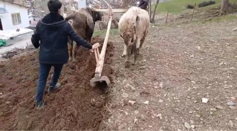 Bahçesaray'da Geleneksel Tarım Uygulamaları Kültürel Mirası Yaşatıyor