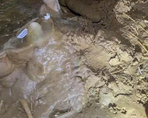 Bruniquel Mağarası'nda 175.000 Yıl Öncesine Ait Neandertal Ayak İzi Keşfedildi