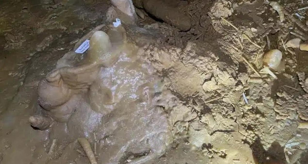 Bruniquel Mağarası'nda 175.000 Yıl Öncesine Ait Neandertal Ayak İzi Keşfedildi