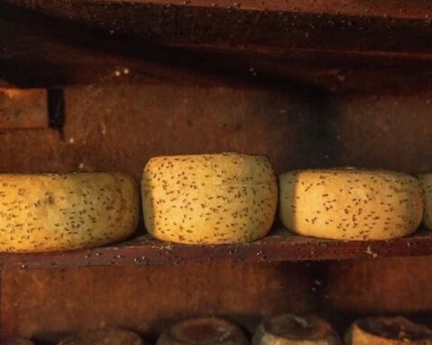Casu Marzu: Yasaklı Peynirin Sardinya'daki Gizli Yaşamı