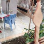 Çorum'da Kiraz Toplamak İçin Ağaçtan Düşen Adam Hayatını Kaybetti
