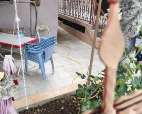 Çorum'da Kiraz Toplamak İçin Ağaçtan Düşen Adam Hayatını Kaybetti