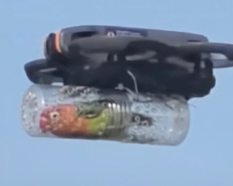 Engelli Papağan İçin Özel Tasarım Drone ile Uçmanın Yeniden Keyfi Yaşandı