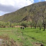 Erzurum'da HES Sonrası Taşkınlar, Mahalle Sakinlerini Zor durumda Bırakıyor