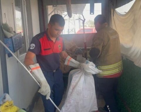 Hatay'da yılan, itfaiye ekipleri tarafından doğaya bırakıldı