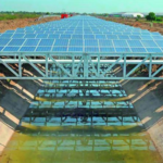 Hindistan'da su tasarrufu ve elektrik üretimi için yenilikçi güneş enerjisi projeleri