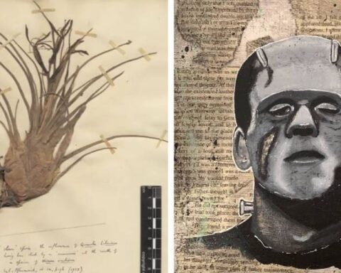 Kew Bahçeleri'ndeki 'Frankenstein bitki' yalanı açığa çıktı