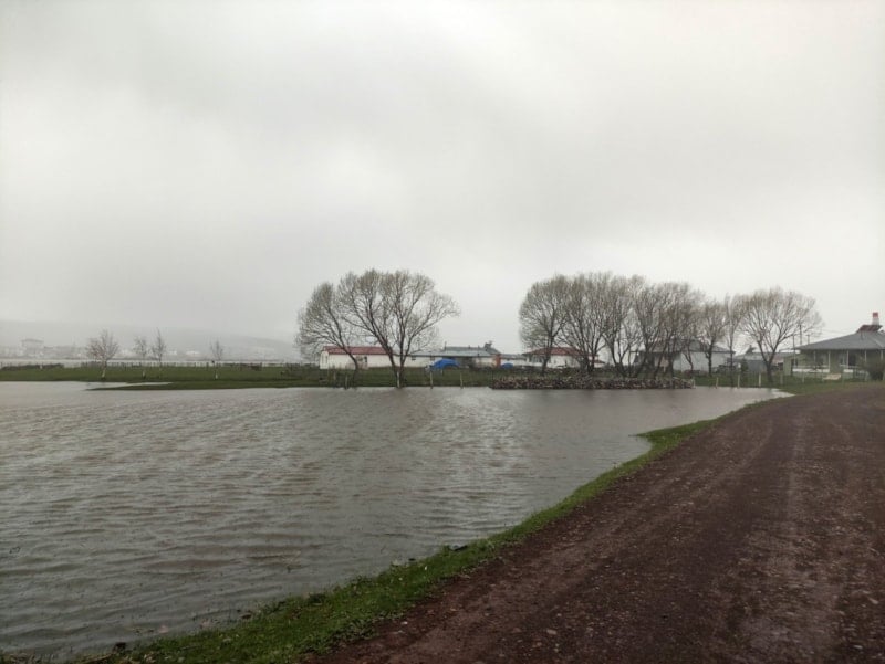 Kura Nehri Taşarak Ardahan Ovası'nı Sular Altında Bıraktı