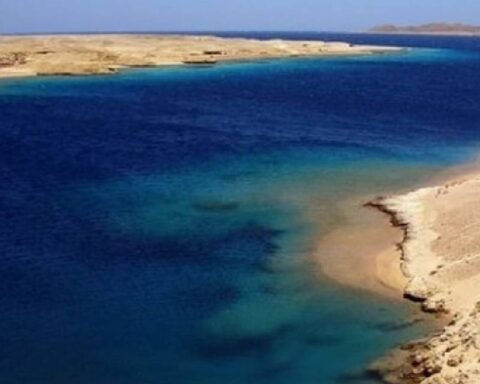 Küresel İklim Değişikliği: 2026 Yazında Sıcaklık Anomalileri Bekleniyor