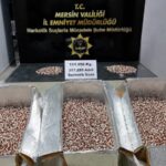 Mersin'de 317 Bin Sentetik Ecza Hapı Ele Geçirildi, 1 Kişi Tutuklandı