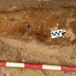 Mısır'da Roma Dönemi Mumyasının Karnında İlyada Metni Bulundu