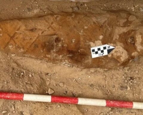 Mısır'da Roma Dönemi Mumyasının Karnında İlyada Metni Bulundu