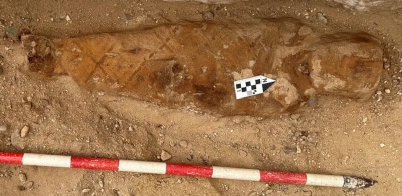 Mısır'da Roma Dönemi Mumyasının Karnında İlyada Metni Bulundu