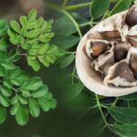 Moringa Tohumları: İçme Suyunu Arıtmanın Doğal ve Sürdürülebilir Yöntemi