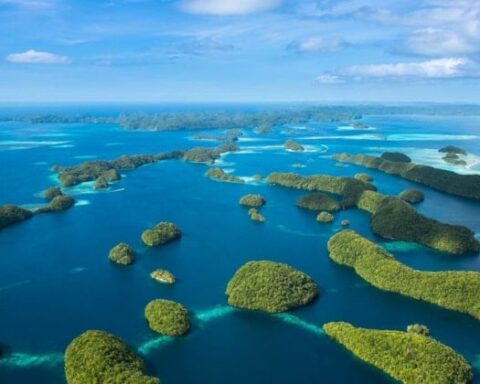 Palau, Mercan Resiflerini Koruma Amacıyla Güneş Kremlerini Yasakladı