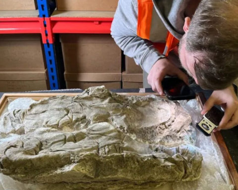 Roma Dönemine Ait 1700 Yıllık Mezarlarda Tyrian Moru Kumaşları Bulundu