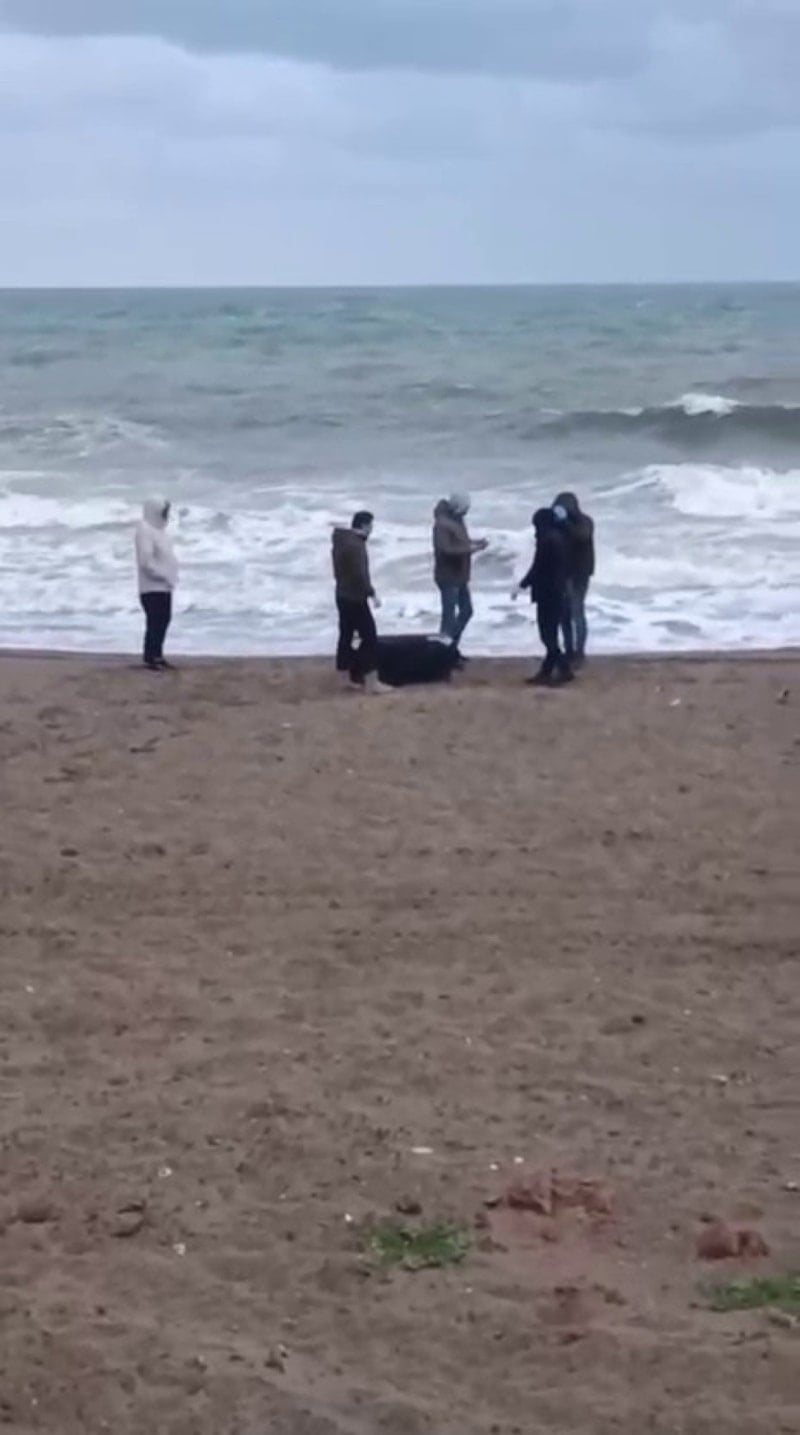 Sakarya'da Kıyıya Vuran Çantadan 21,5 Kilogram Uyuşturucu Çıktı